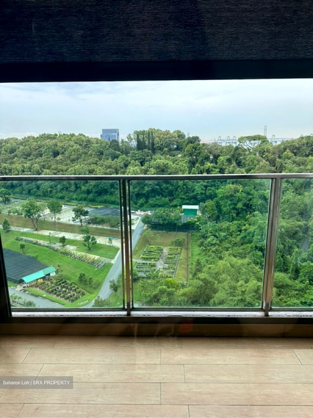 Normanton Park (D5), Apartment #577328691